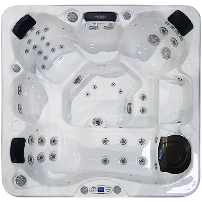 Avalon EC-849L hot tubs for sale in Cedar Rapids