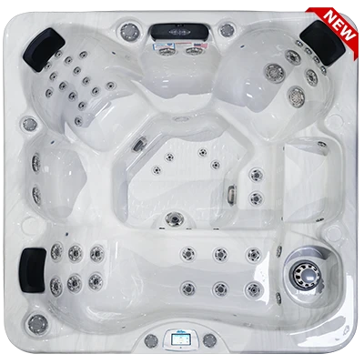 Avalon-X EC-849LX hot tubs for sale in Cedar Rapids