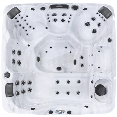 Avalon EC-867L hot tubs for sale in Cedar Rapids